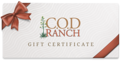 Gift Certificate