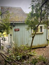 Cabin in the Trees